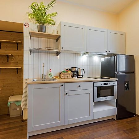 Cozy Studio And Standard Apartments In The Heart Of Oldtown VNO Kültér fotó